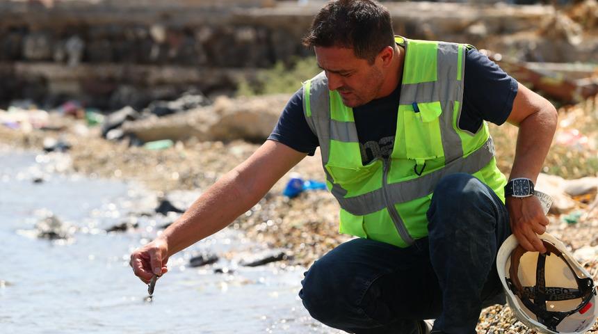 İzmir Körfezi'nde balık ölümleri yeniden başladı