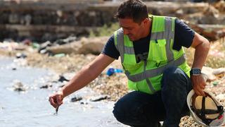 İzmir Körfezi'nde balık ölümleri yeniden başladı