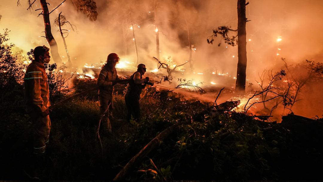 Çanakkale’deki orman yangınına karadan müdahale devam ediyor 3