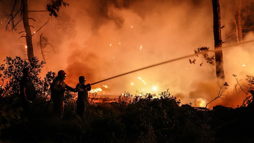 Çanakkale’deki orman yangınına karadan müdahale devam ediyor 4