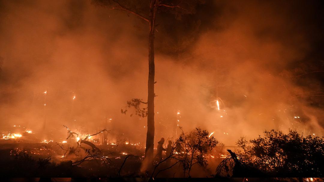 Çanakkale’deki orman yangınına karadan müdahale devam ediyor 5