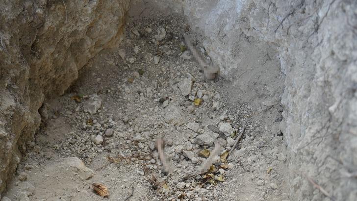 Mezarları metrelerce kazıp defin arıyorlar! Savunmaları pes dedirtti: "Kemiklerini çalmadık, duruyor" G2