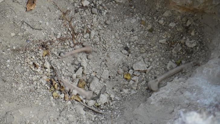 Mezarları metrelerce kazıp defin arıyorlar! Savunmaları pes dedirtti: "Kemiklerini çalmadık, duruyor" G3