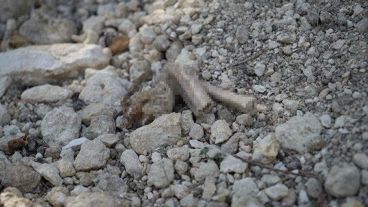 Mezarları metrelerce kazıp defin arıyorlar! Savunmaları pes dedirtti: "Kemiklerini çalmadık, duruyor" G5