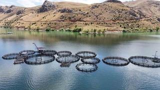 Denizi yok balıkçılıkta iddialı il!