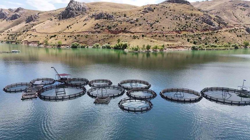 Denizi yok balıkçılıkta iddialı il!