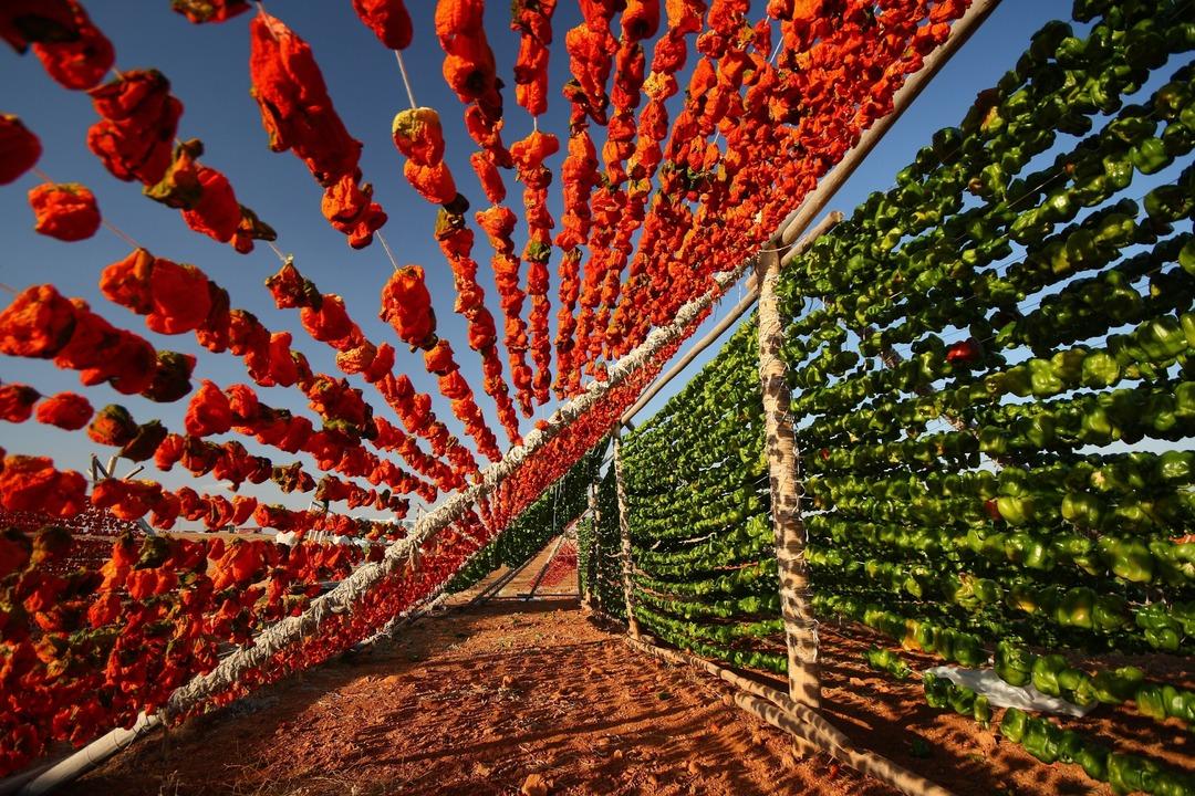 Gaziantep 108 tescilli lezzetiyle coğrafi işarette Türkiye’nin lideri: "Dünyanın lezzet başkenti"  2