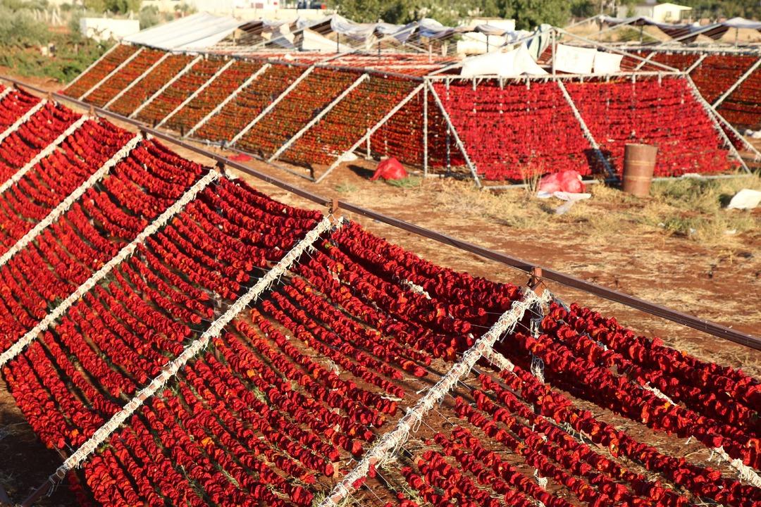 Gaziantep 108 tescilli lezzetiyle coğrafi işarette Türkiye’nin lideri: "Dünyanın lezzet başkenti"  3