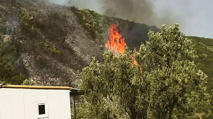 Bursa'da orman yangını soruşturmasında 1 gözaltı