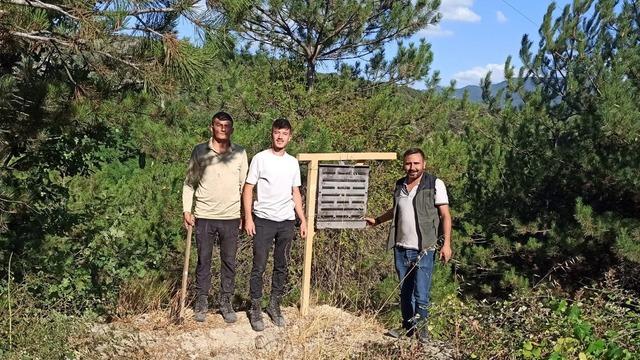 Bolu’da yanan ormanlık alanlara feromon tuzakları asıldı