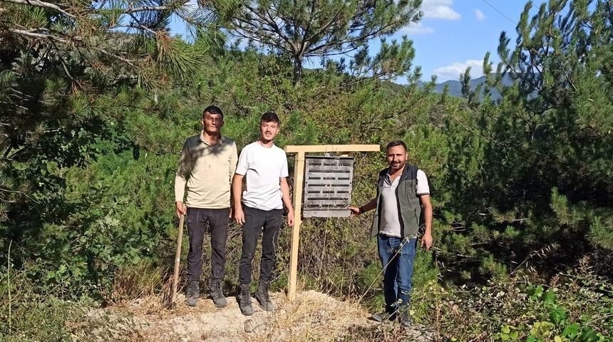 Bolu’da yanan ormanlık alanlara feromon tuzakları asıldı