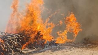Malatya’nın Doğanyol ilçesinde orman yangını
