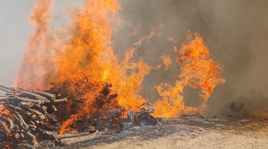 Malatya’nın Doğanyol ilçesinde orman yangını