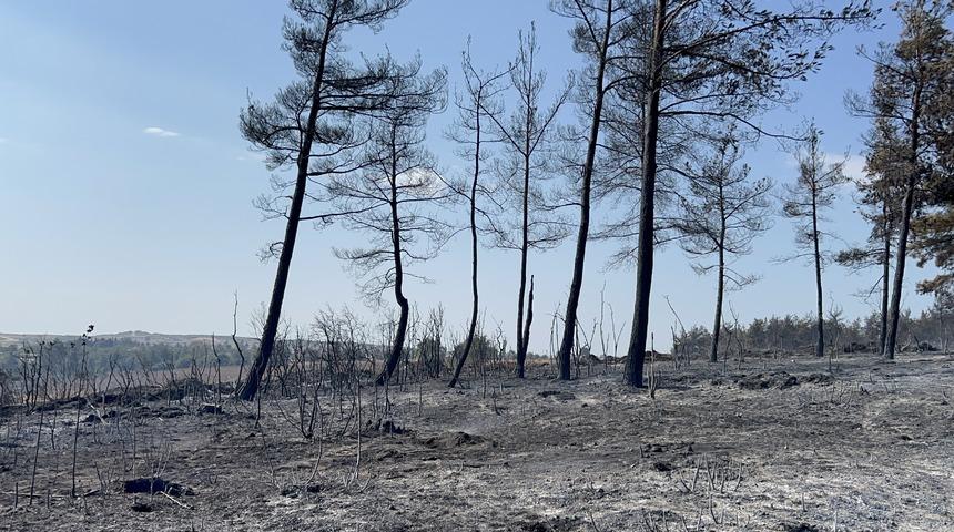 Gelibolu'da çıkan orman yangını tamamen kontrol altına alındı