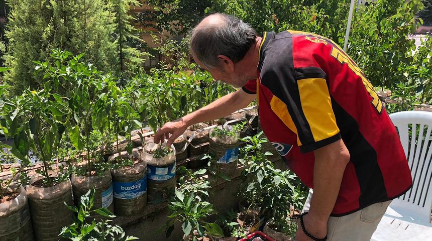 Eskişehirli esnaftan örnek davranış: İş yerinin balkonunu sebze bahçesine çevirdi