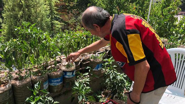 Eskişehirli esnaftan örnek davranış: İş yerinin balkonunu sebze bahçesine çevirdi