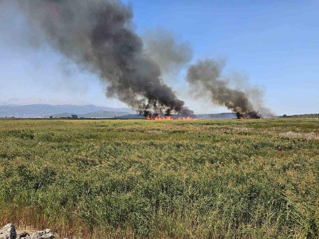 Beyşehir’de sazlık alanda çıkan yangın havadan müdahale ile söndürüldü 1