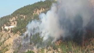 Tokat’ta orman yangını