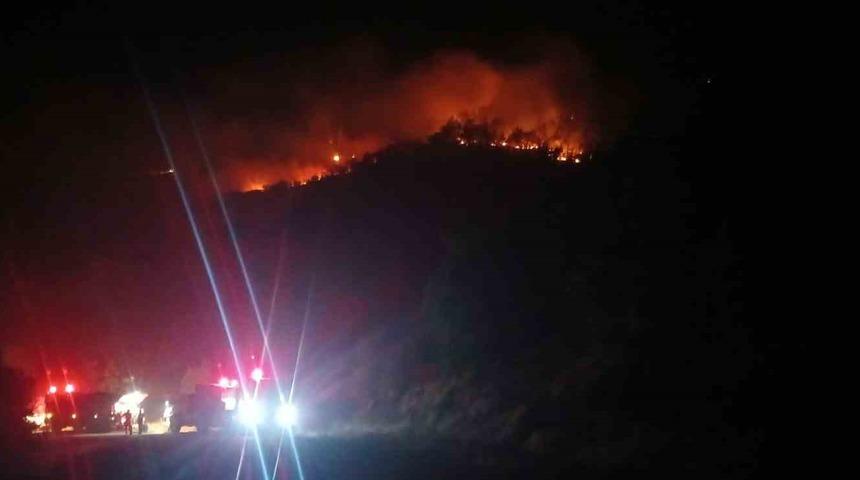 Malatya’daki orman yangını! Saatlerdir alevler yükseliyor