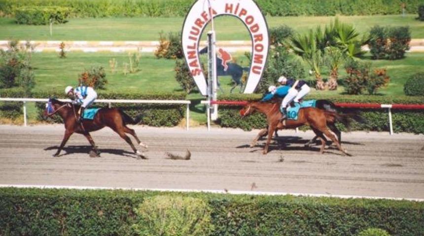 Şanlıurfa Hipodromu'nun pisti yenilendi