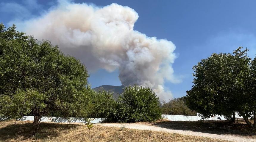 Denizli'deki orman yangınından iyi haber! OGM son gelişmeyi duyurdu
