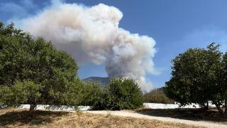 Denizli'deki orman yangınından iyi haber! OGM son gelişmeyi duyurdu