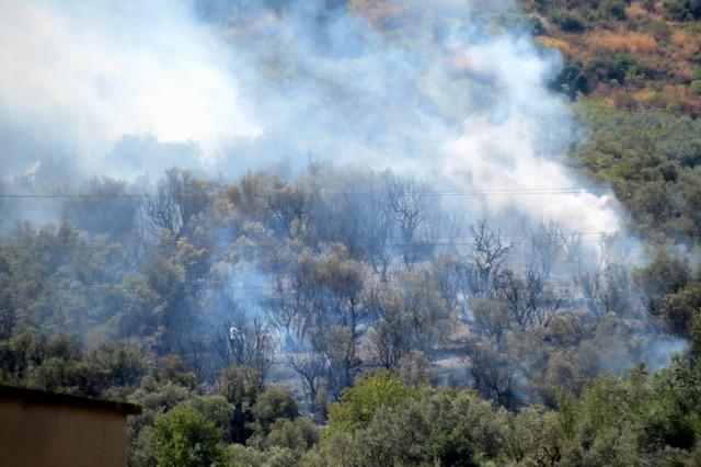 Mudanya’da korkutan yangın 1