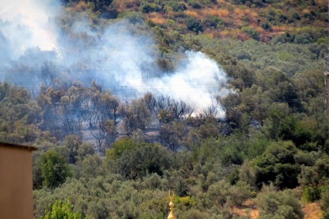 Mudanya’da korkutan yangın 2
