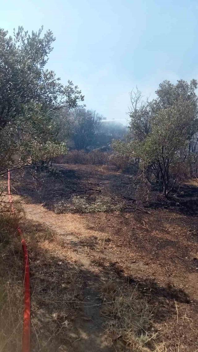 Mudanya’da korkutan yangın 4