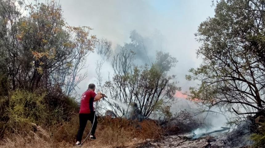 Bursa'da zeytinlikte çıkan yangın söndürüldü