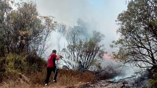 Bursa'da zeytinlikte çıkan yangın söndürüldü