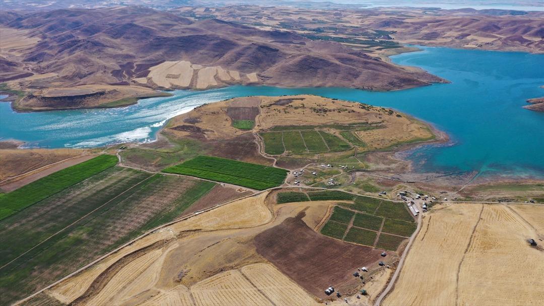 Bozkırdı tarla oldu, kiralayarak başladılar! Yurt dışına gönderiyorlar  1