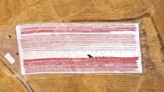 Bozkırdı tarla oldu, kiralayarak başladılar! Yurt dışına gönderiyorlar 