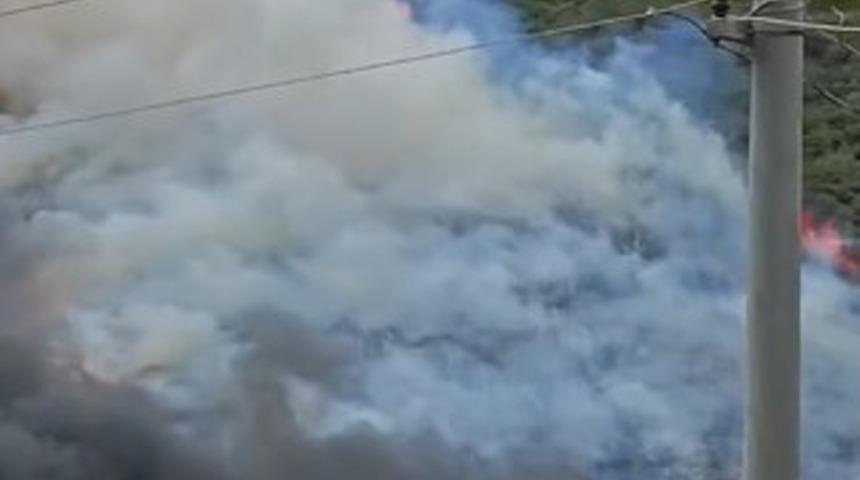 Kocaeli'de ağaçlık alanda yangın çıktı