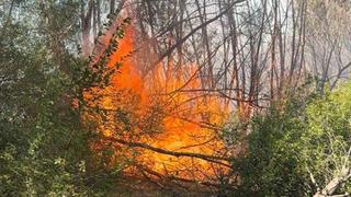 Elazığ’da otluk alanda yangın