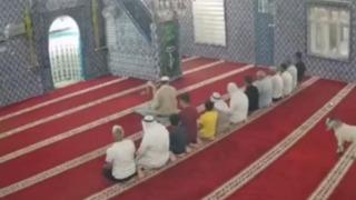 Mardin’de camiye giren oğlak güvenlik kamerasına yansıdı