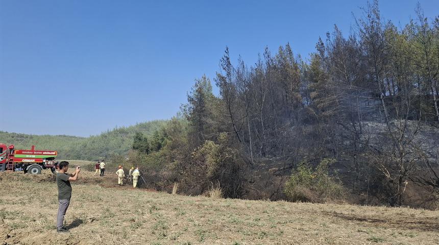Adana Karaisalı'da çıkan orman yangını kontrol altına alındı