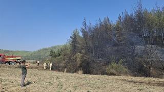 Adana Karaisalı'da çıkan orman yangını kontrol altına alındı