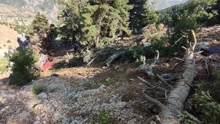 Adana'da uçuruma yuvarlanan otomobildeki 2 kişi hayatını kaybetti