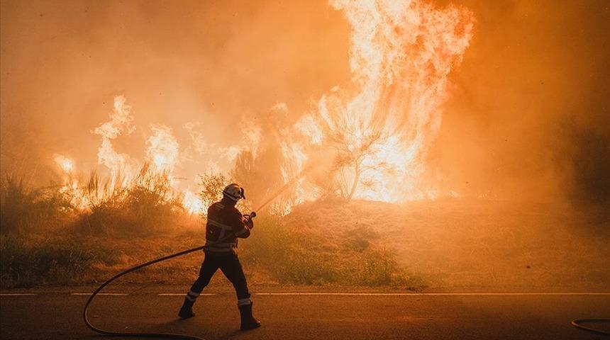 İspanya'da devam eden orman yangınlarında 407 bin hektardan fazla alan kül oldu