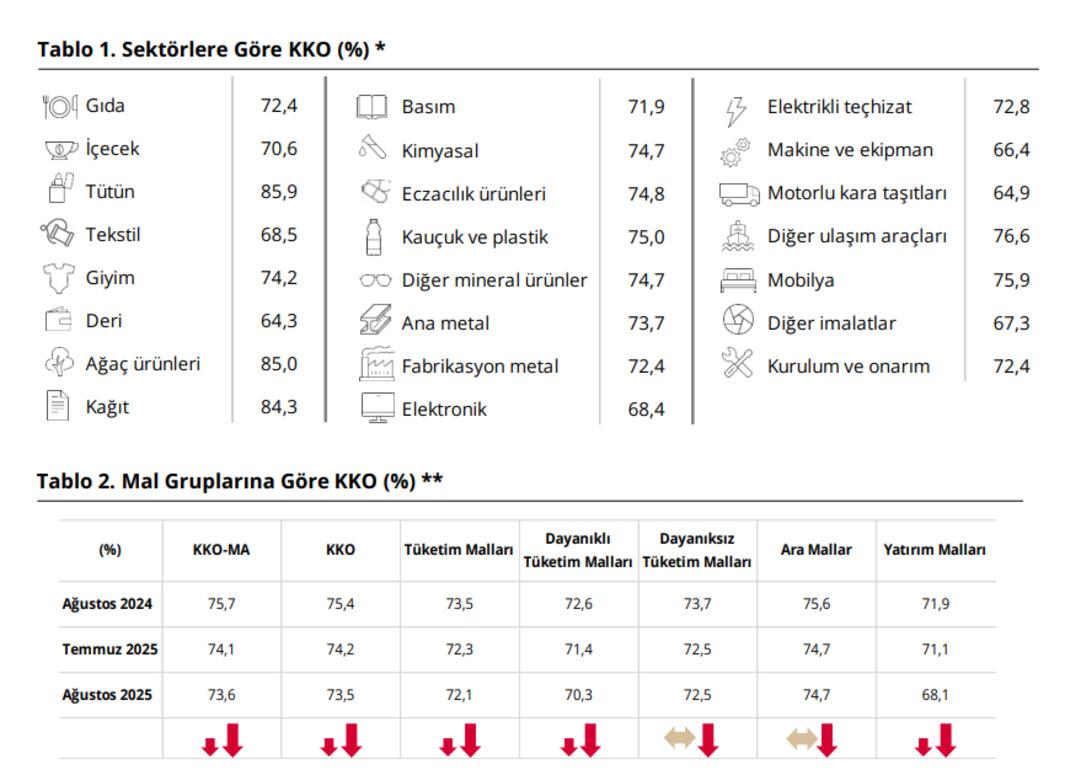 Rapor geldi: İmalat sanayi kapasite kullanımı geriledi 1