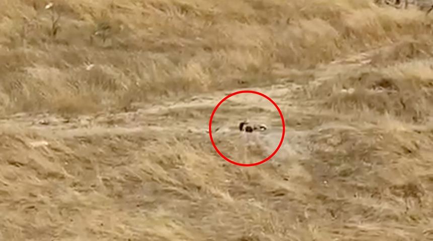 Tekirdağ'da güpegündüz boş alanda uygunsuz görüntüler! Mahalleliden tepki yağıyor