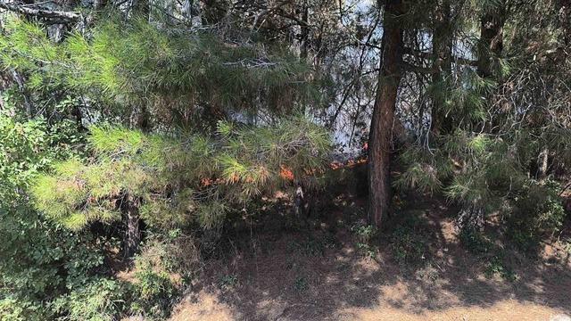 Buldan’da çıkan orman yangını kısa sürede kontrol altına alındı 1