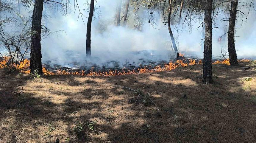 Buldan’da çıkan orman yangını kısa sürede kontrol altına alındı