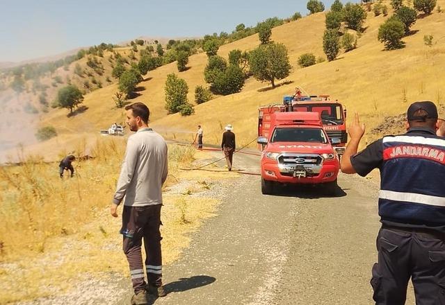 Malatya Pütürge’de orman yangını 1