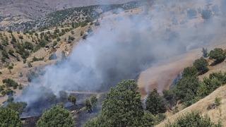 Malatya Pütürge’de orman yangını