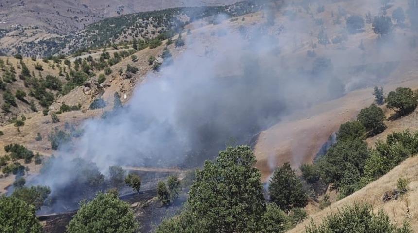 Malatya Pütürge’de orman yangını