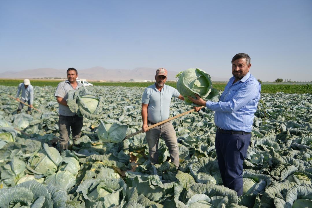  Her evde bulunmalı  Kilosu 10 liradan satılıyor!   Borsası bu köy  1