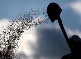 Kayıt dışı tohumluk satışlarına karşı üreticilere ödül sistemi önerisi