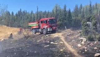 Aliağa'da ormanlık alanda çıkan yangın hızlı müdahale ile söndürüldü
